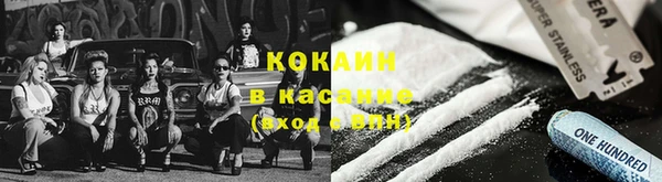 СК Волосово