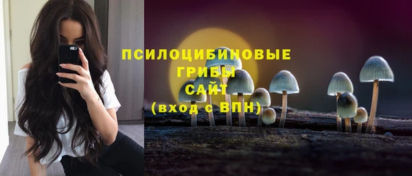 a pvp Володарск