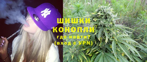 СК Волосово