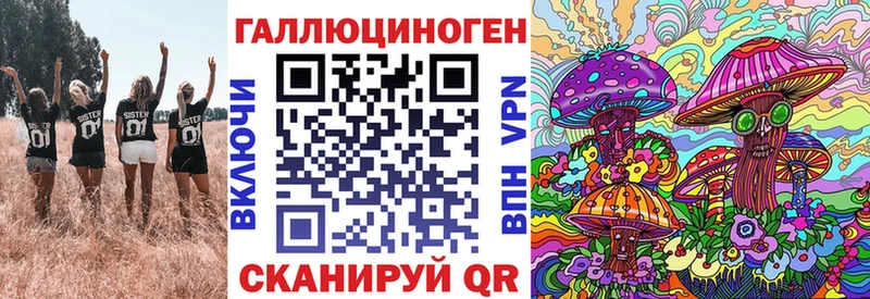 Псилоцибиновые грибы Cubensis  Любань 